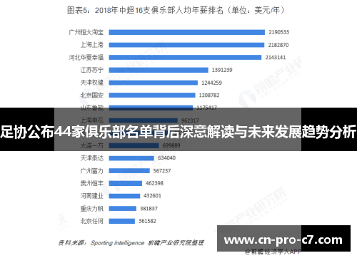 足协公布44家俱乐部名单背后深意解读与未来发展趋势分析 足协公布44家俱乐部名单背后深意解读与未来发展趋势分析