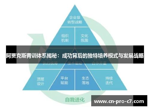 阿贾克斯青训体系揭秘：成功背后的独特培养模式与发展战略